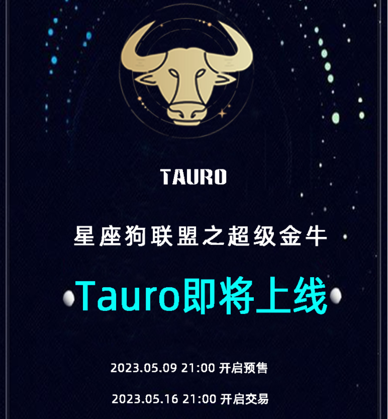 超级金牛TAURO：基于星座协议的DeFi解决方案