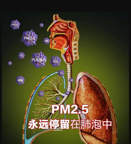 九鸱抗病毒空气净化器给肺增加保护屏 ------别再拿自己的肺当人体吸尘器