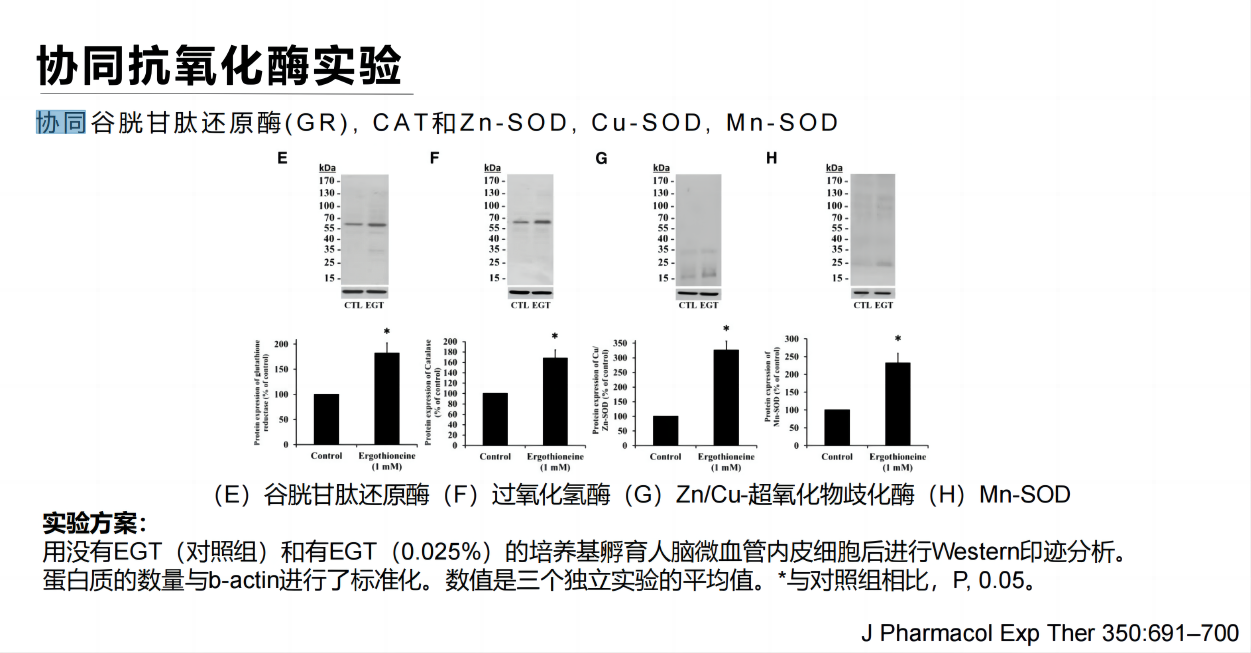 协同抗氧化酶.png