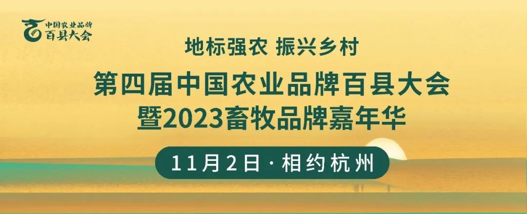 芒种农业品牌丨蒋文龙专家访谈：寻求可持续高质量发展的乡村品牌化路径