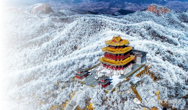 发现更好潍坊 | 首届潍坊旅游形象大使招募啦!大使招募啦!