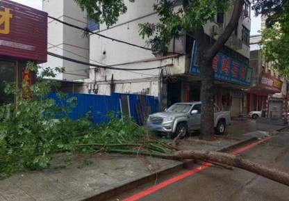 以“迅”应“汛”中国人寿财险广东省分公司全力应对强降雨天气