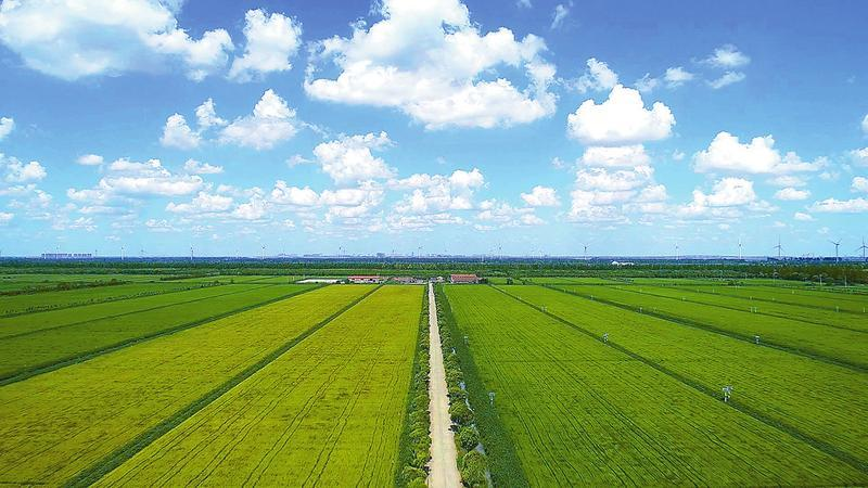 农发行德阳市分行  创新“农地+”模式 2.85亿元金融活水浇灌万亩良田