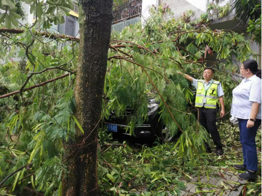 中国人寿财险广西分公司快速应对暴雨灾害