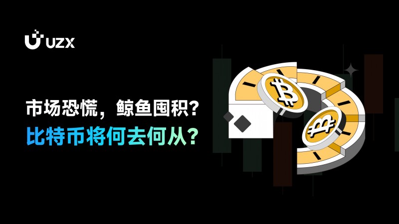 市場恐慌，鯨魚囤積？比特幣將何去何從？