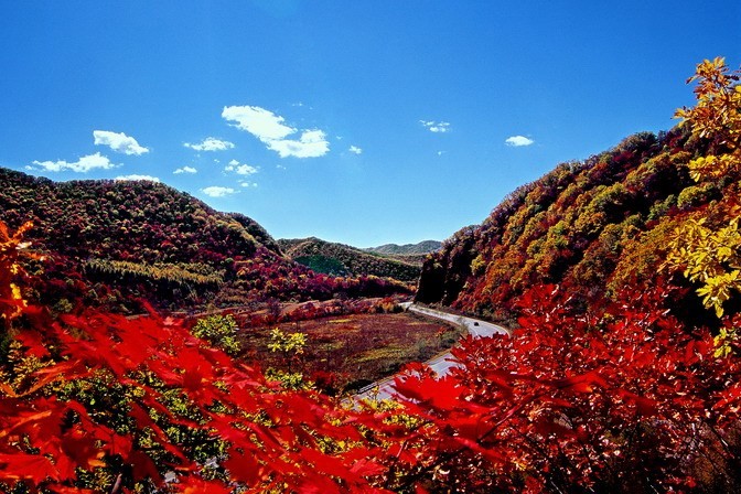 枫叶绚烂，羽球相伴！本溪·李永波羽毛球公开赛圆满落幕！