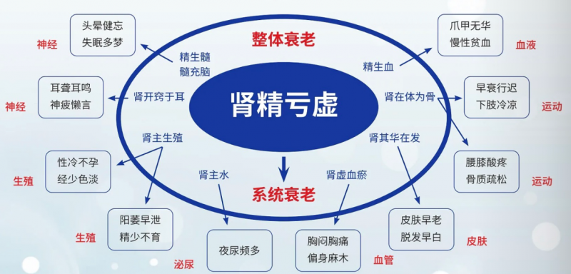 春节社交应酬太多？送好礼不如送健康！(图2)